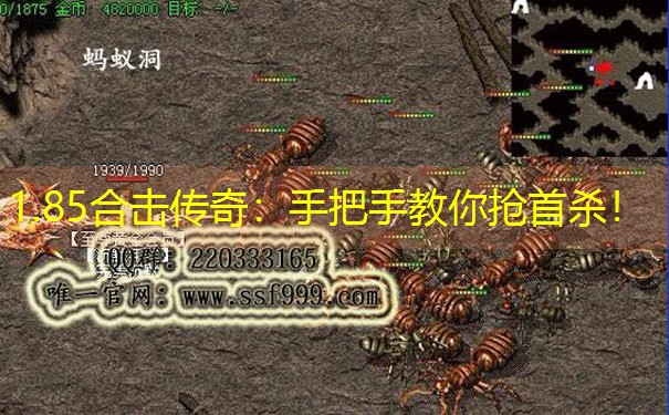 1.85合击传奇:手把手教你抢首杀!