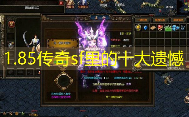 1.85传奇sf里的十大遗憾