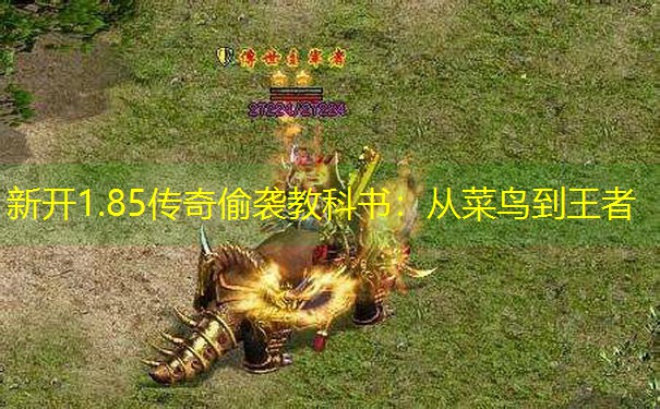新开1.85传奇偷袭教科书：从菜鸟到王者