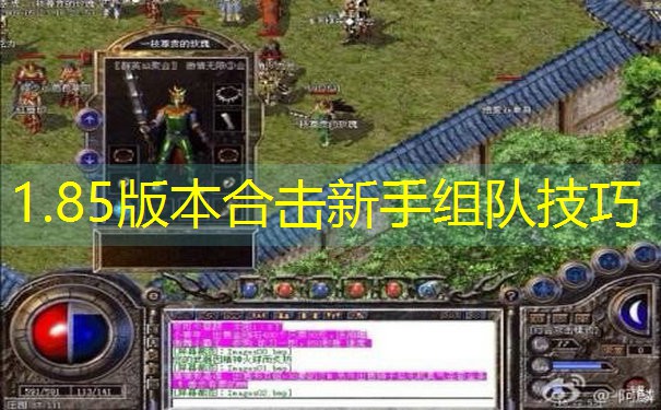 1.85版本合击新手组队技巧
