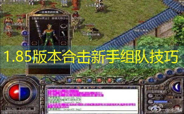 1.85版本合击新手组队技巧 1.85版本合击新手组队技巧