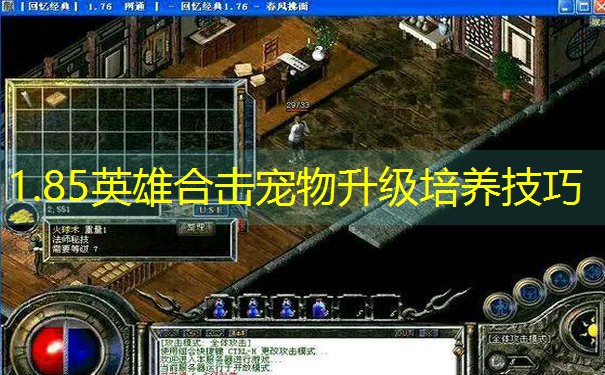 1.85英雄合击宠物升级培养技巧 1.85英雄合击宠物升级培养技巧